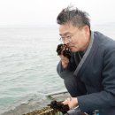 원초로 이미지