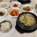 대한육전 | [속초 아침식사 맛집 황태해장국 두부찌개 육전 솔직 후기] 비금도