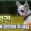 산책 이미지
