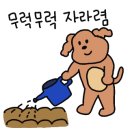 으뜸청소 네이버블로그