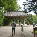 홍룡폭포(홍룡사) 이미지