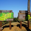 쌍계사수목장림 금강신문