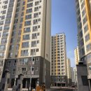 순천덕진의봄 이미지