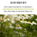 허니더마스킨