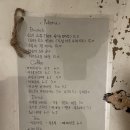 도로시 빈티지