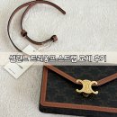 셀린느 마고 체인지갑 후기 트리옹프 캔버스 카프스킨 스트랩 교체