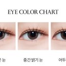 라이크유 이미지