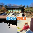 영화사 이미지
