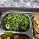 파인트리펜션 | 키즈펜션 추천 - 아이들 천국, 아침조식이 있는 고성파인트리키즈스파펜션 후기 (머구리 회포장 맛집 후기)