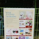 웰리스퍼피