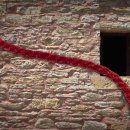 스캔달(SCANDAL) 이미지