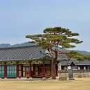 (주)영재서산사업소 | [서산 당일치기 여행] 해미읍성 한바퀴 입장료,체험 후기