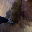 입큰붕어낚시터 이미지