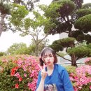 상명 | 목포로부터의 탈출