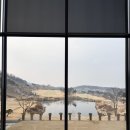 루트52CC | [여주/루트52CC] 수도권 근처 추천 골프장 3월 2026년 라운딩후기