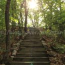 봉화산로45길 이미지