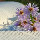 사도들의 사도(Apostle to the Apostls), 위대한 여 사도, 마리아 막달레나! 이미지