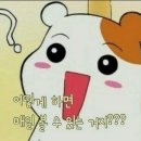 오늘도 채우다 이미지