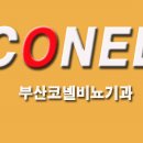 코넬비뇨기과의원 | [부산매독신고] 매독검사 해석? [부산매독진단]