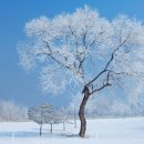 아름다운날 Daum카페