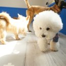 무무유치원 이미지