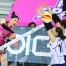 흥국생명 이미지