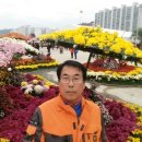 마산가고파 국화축제장 이미지