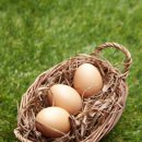 마레삐노펜션 이미지