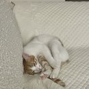 순호농장 이미지