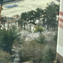 (주)오한수 티스토리
