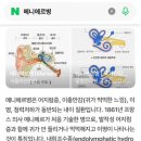 코앤코이비인후과 네이버블로그