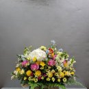 114꽃배달 이미지