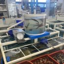 신선타운 | 울릉 저동 맛집 오징어회타운 회센터 신선한 오징어회 시세 내돈내산 찐 후기