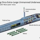 오르카(Orca) 네이버블로그
