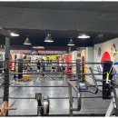 대한권투체육관 이미지