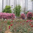 한길공원