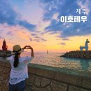 제주테우문화 | 제주도 여름 축제 가볼만한곳! 공항 근처 이호테우 해수욕장과 말등대 노을 명소