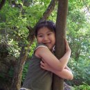 호성계곡 이미지