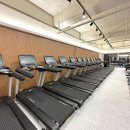 카프리짐 이미지