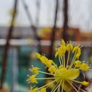 바른자산경매공인중개사사무소 이미지