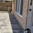 은구비로 이미지