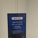 에이치비엘제1발전소 | [대구 전시회] 마르크 샤갈 특별전 솔직 후기! 대구예술발전소 실내 데이트 추천