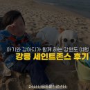 세인트존스 동물병원 이미지