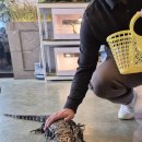 쥬니멀 전시장 | 청주동물원 청주실내동물원 청주이색데이트 쥬니멀동물원