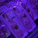 곤지암리조트 직원식당 이미지