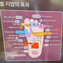 성남시 태평동에서 가졌던 하루 이미지