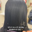 헤비수헤어강서점