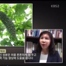 안의면 종로길 | KBS 2TV 생생정보 맛있는 조연-여주 삼겹살, 된장찌개-경남 함양군의 중앙 식당