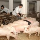 창건목장 이미지