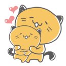 왕십리 고양이 위너펫 24시 이미지